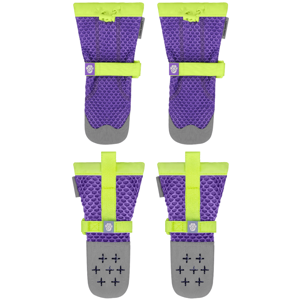 Hot Pavement Dog Boots Purple Lime Green