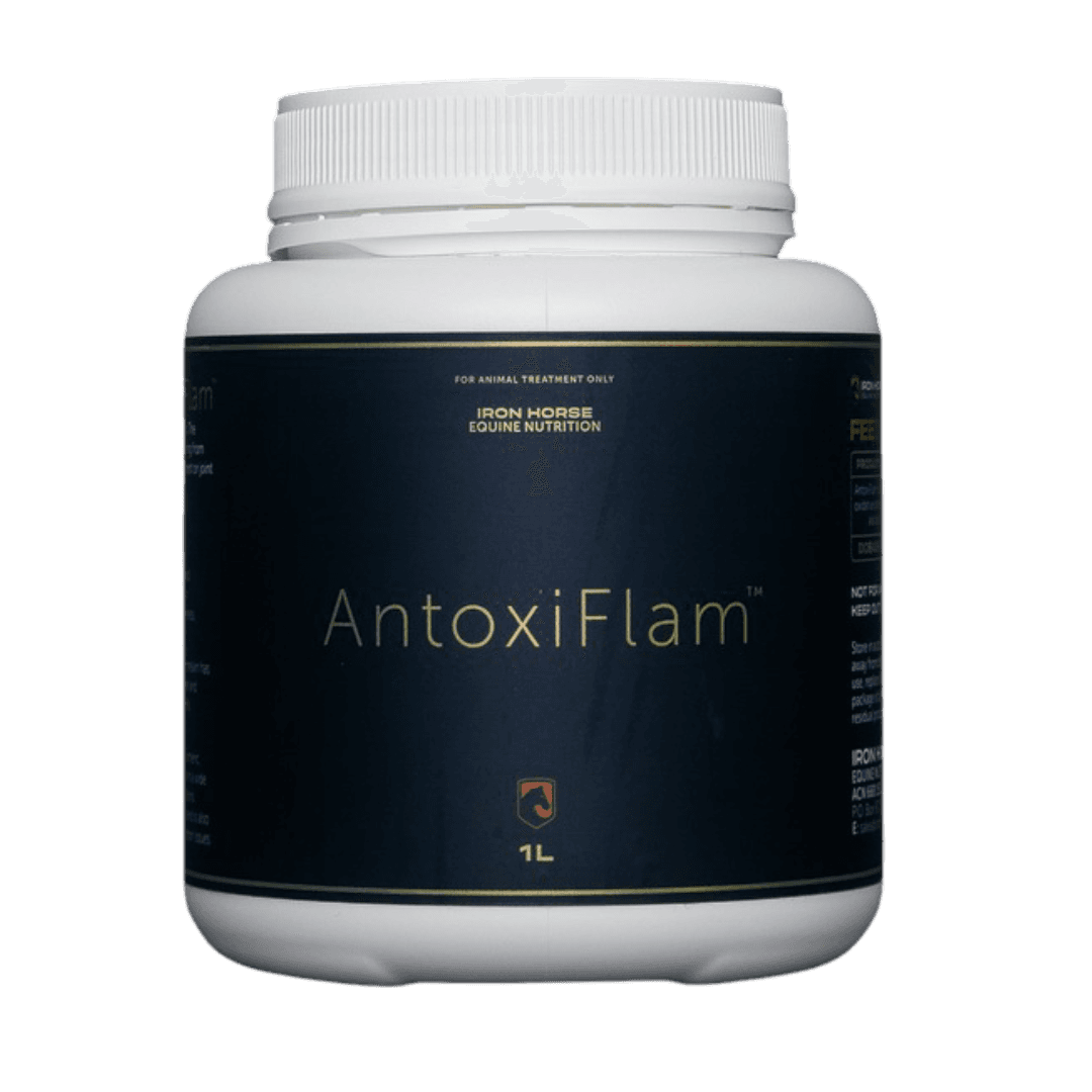 iron-horse-equine-nutrition-antoxiflam-horse-supplement