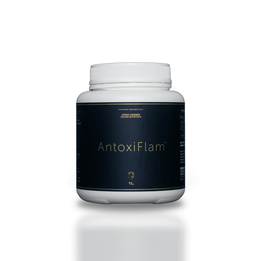 iron-horse-equine-nutrition-antoxiflam-horse-supplement