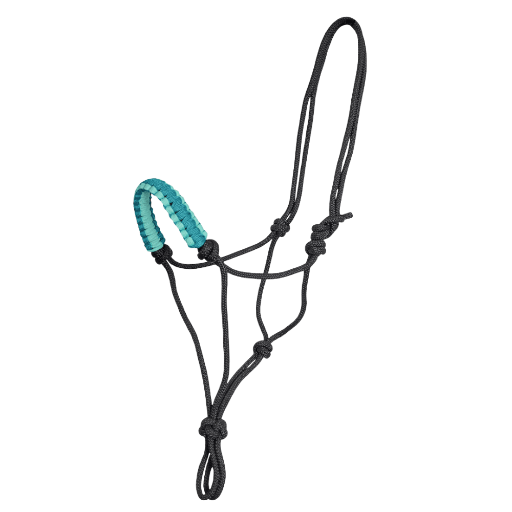 zilco-padded-nose-rope-halter-in-black-and-turquoise-for-horses