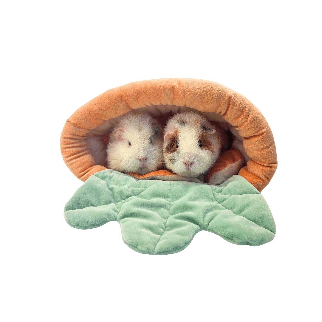 ozzy-cages-cuddly-carrot-bed-guinea-pig-sofy-bed