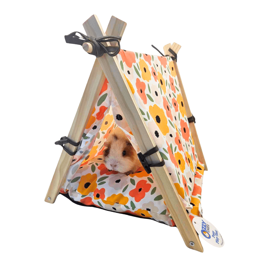 ozzy-cages-posy-play-tent-guinea-pig-tee-pee
