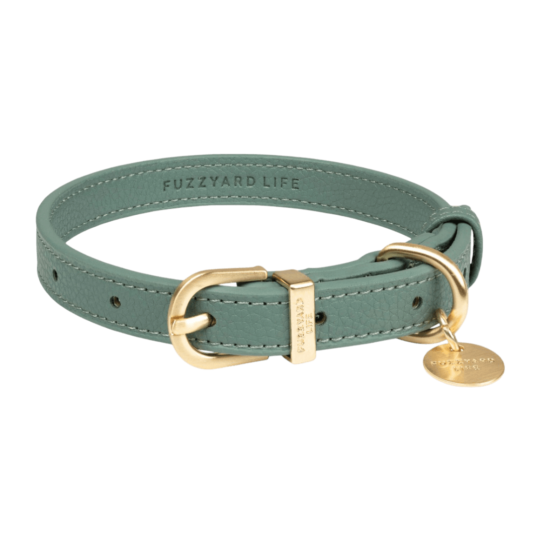 fuzzyard-life-atelier-myrtle-green-dog-collar