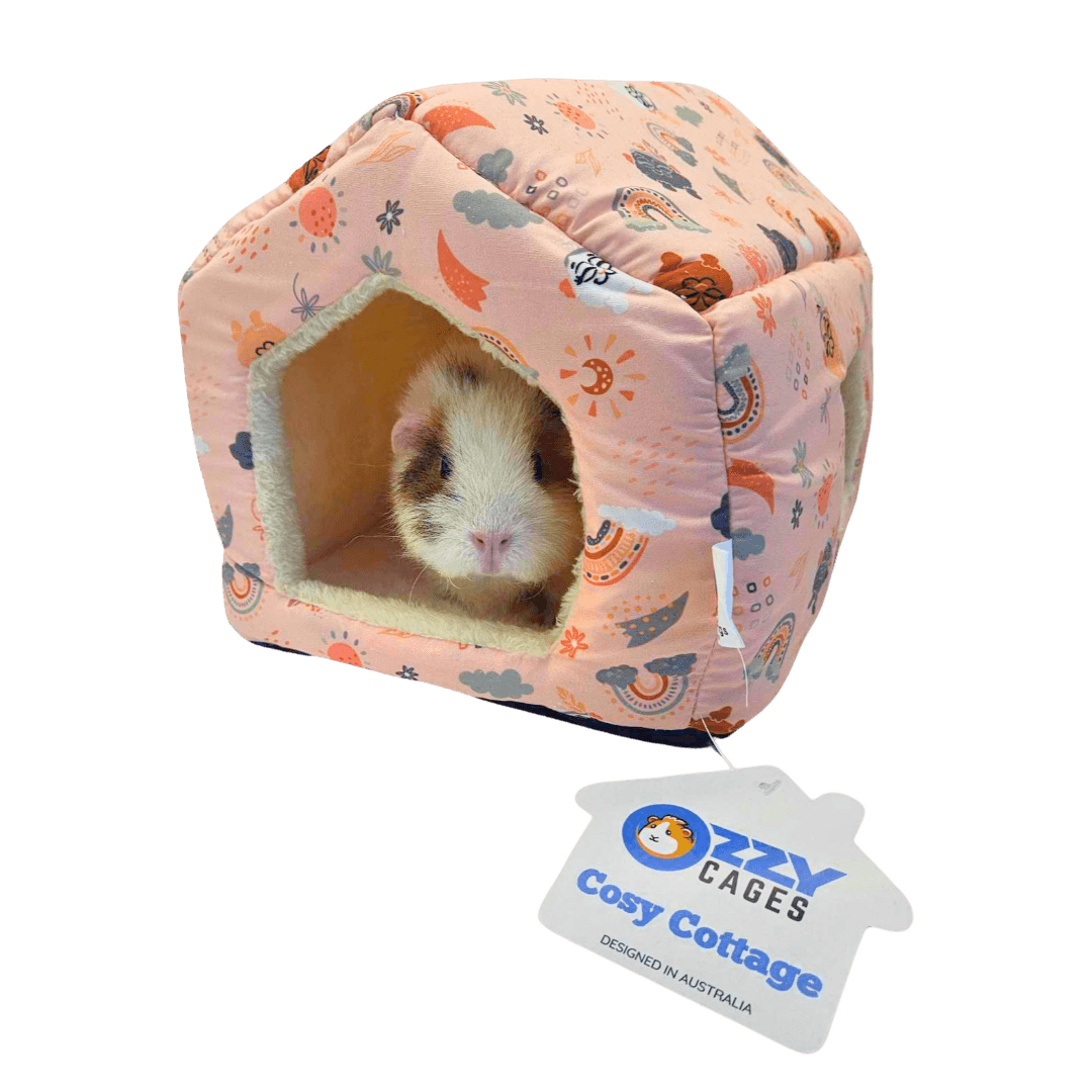 ozzy-cages-cosy-cottage-earthchild-guinea-pig-hut