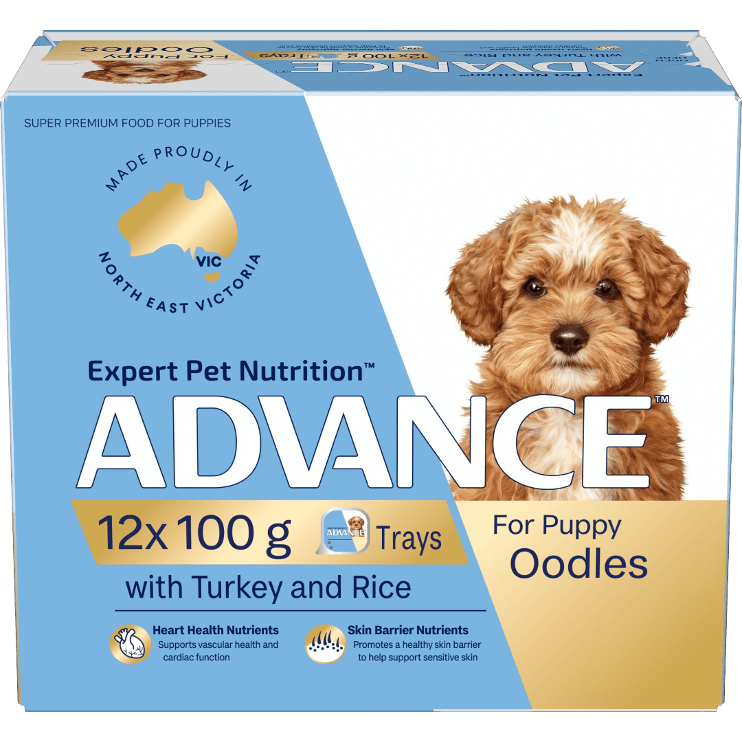 advance-turkey-with-rice-puppy-oodles-wet-dog-food-tray