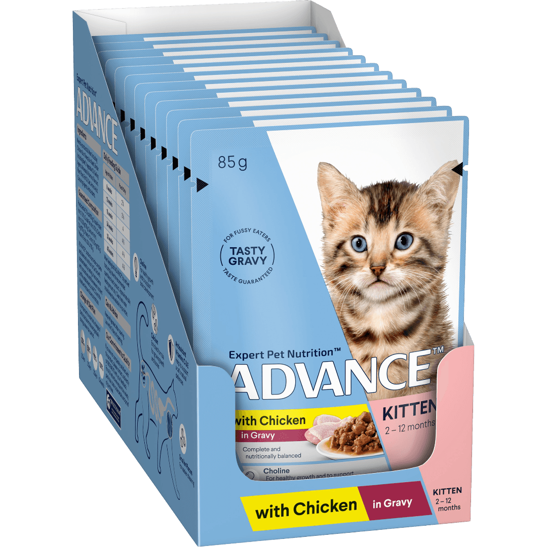 advance-chicken-chunks-in-gravy-kitten-wet-cat-food-pouch