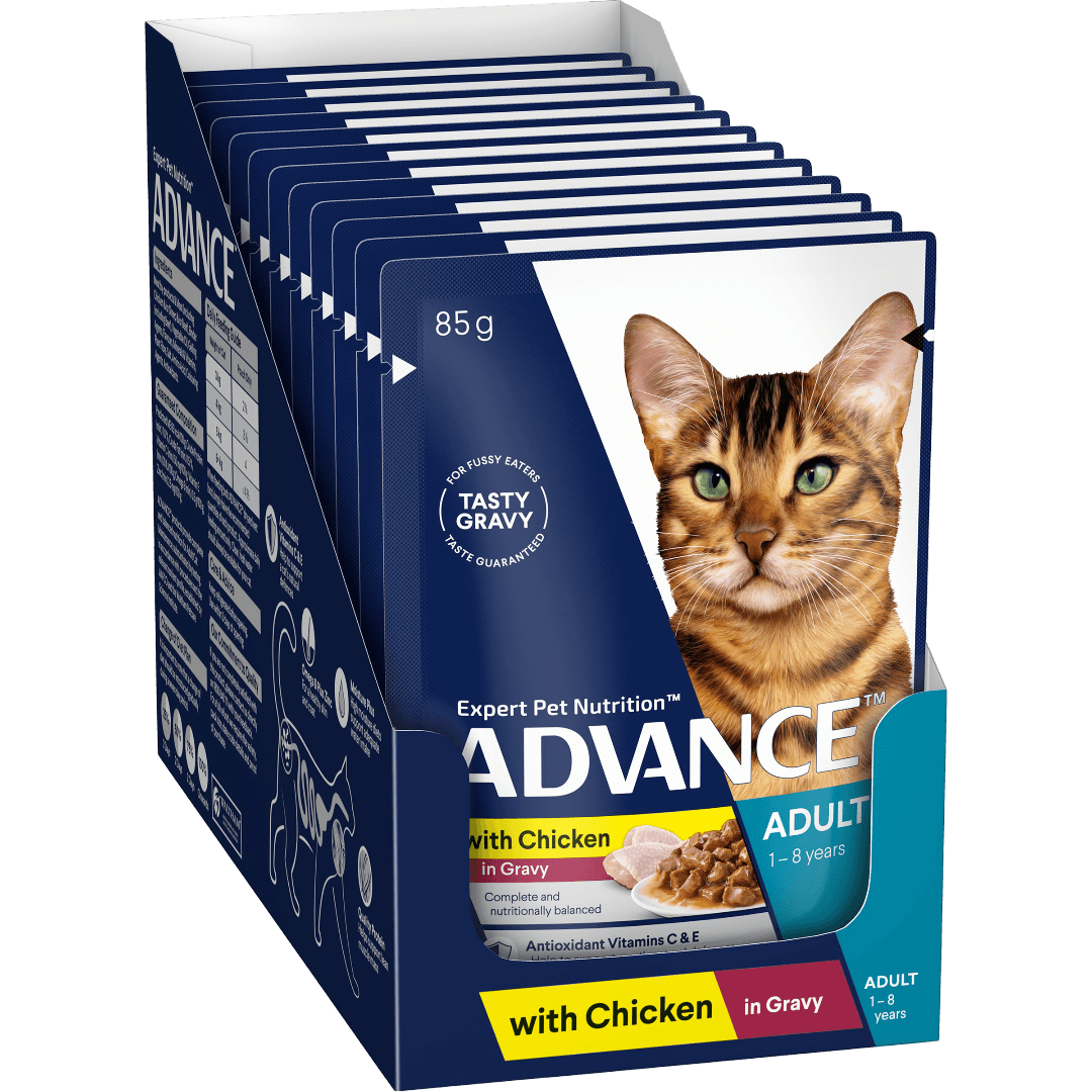 advance-chicken-chunks-in-gravy-adult-wet-cat-food-pouch