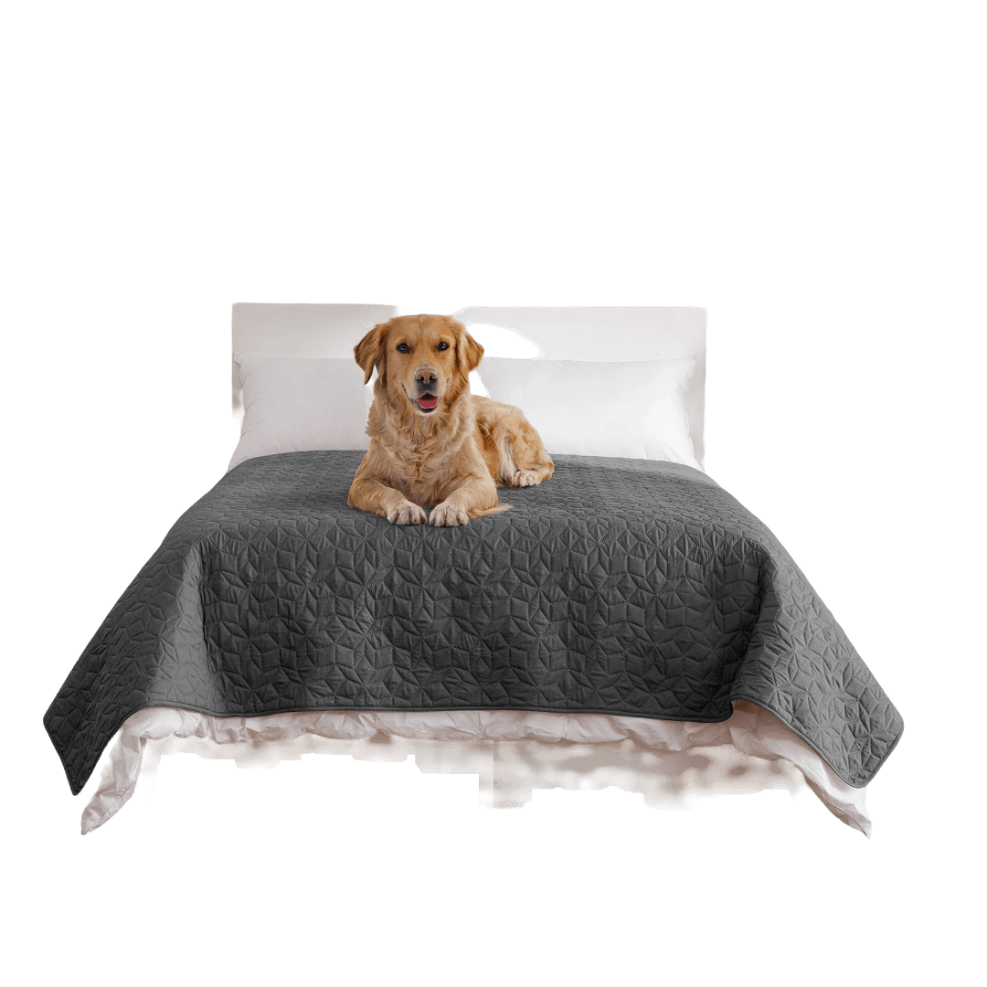 charlies-sofur-waterproof-dog-bed-cover-for-king-or-super-king-charcoal