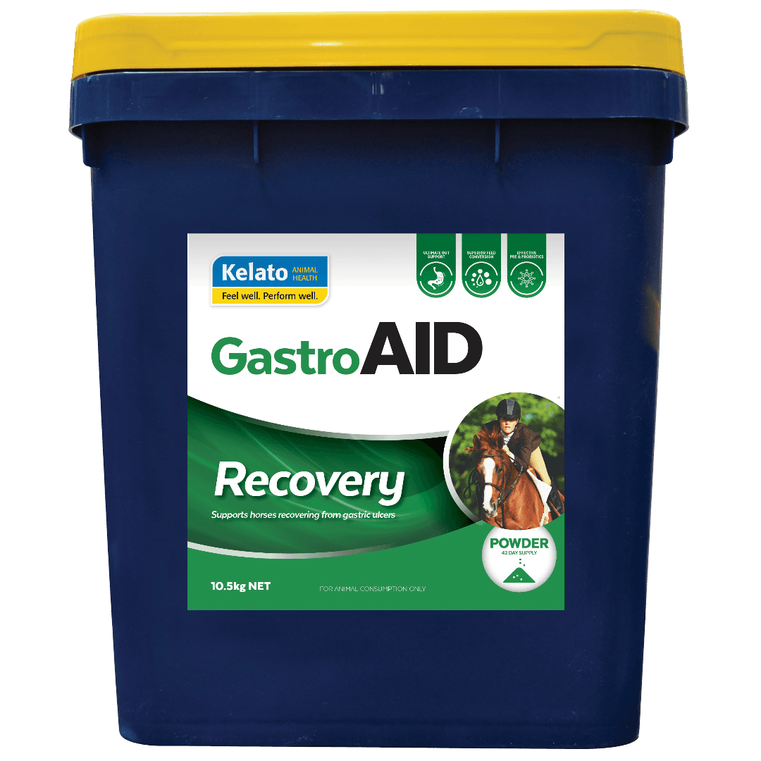 kelato-gastroaid-recovery-gastric-ulcer-support-horse-supplement