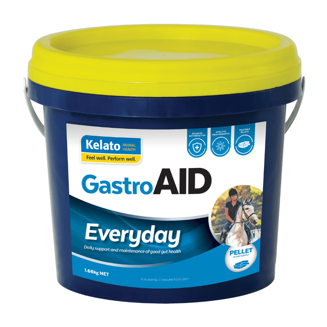 kelato-gastroaid-everyday-gastric-ulcer-support-horse-supplement