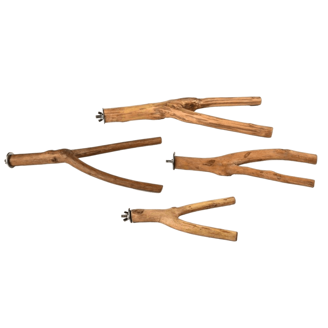 nature-island-natural-branch-wooden-bird-perch