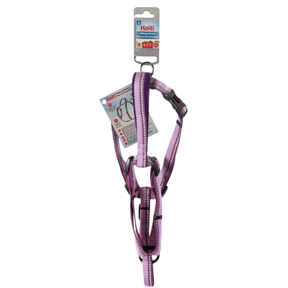 halti-walking-harness-dog-purple