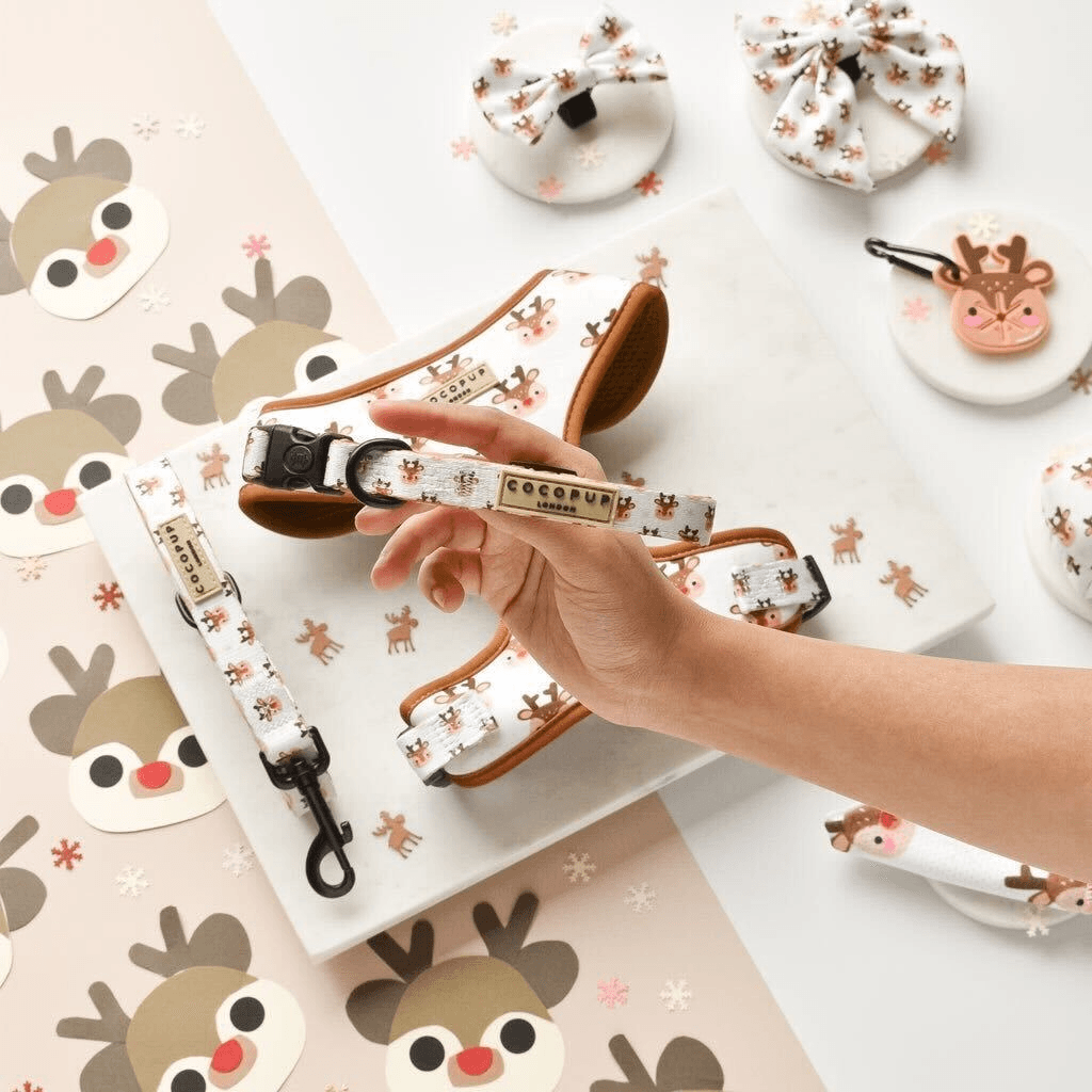cocopup-london-dog-collar-ralphie-reindeer