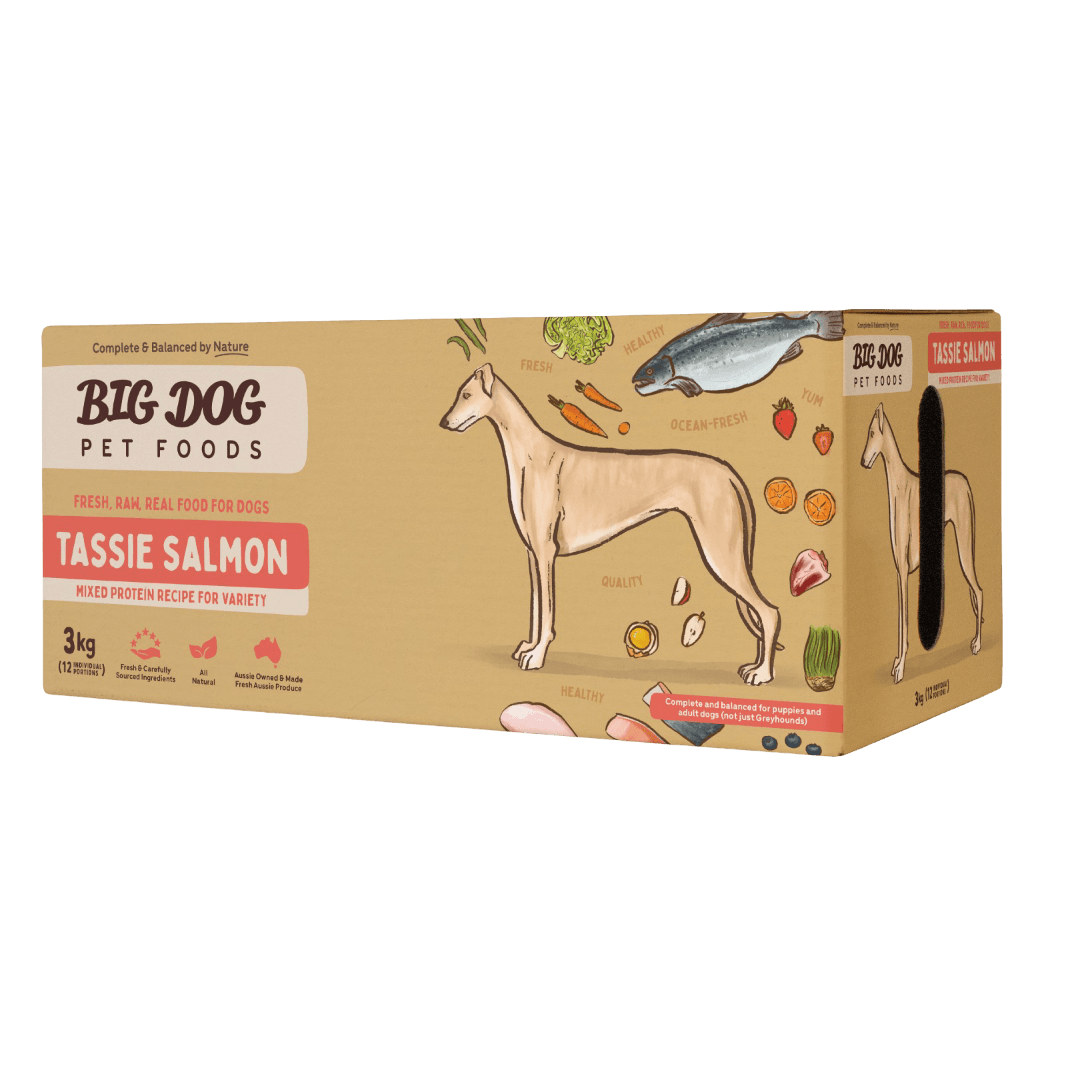 big-dog-australia-tassie-salmon-frozen-raw-dog-food