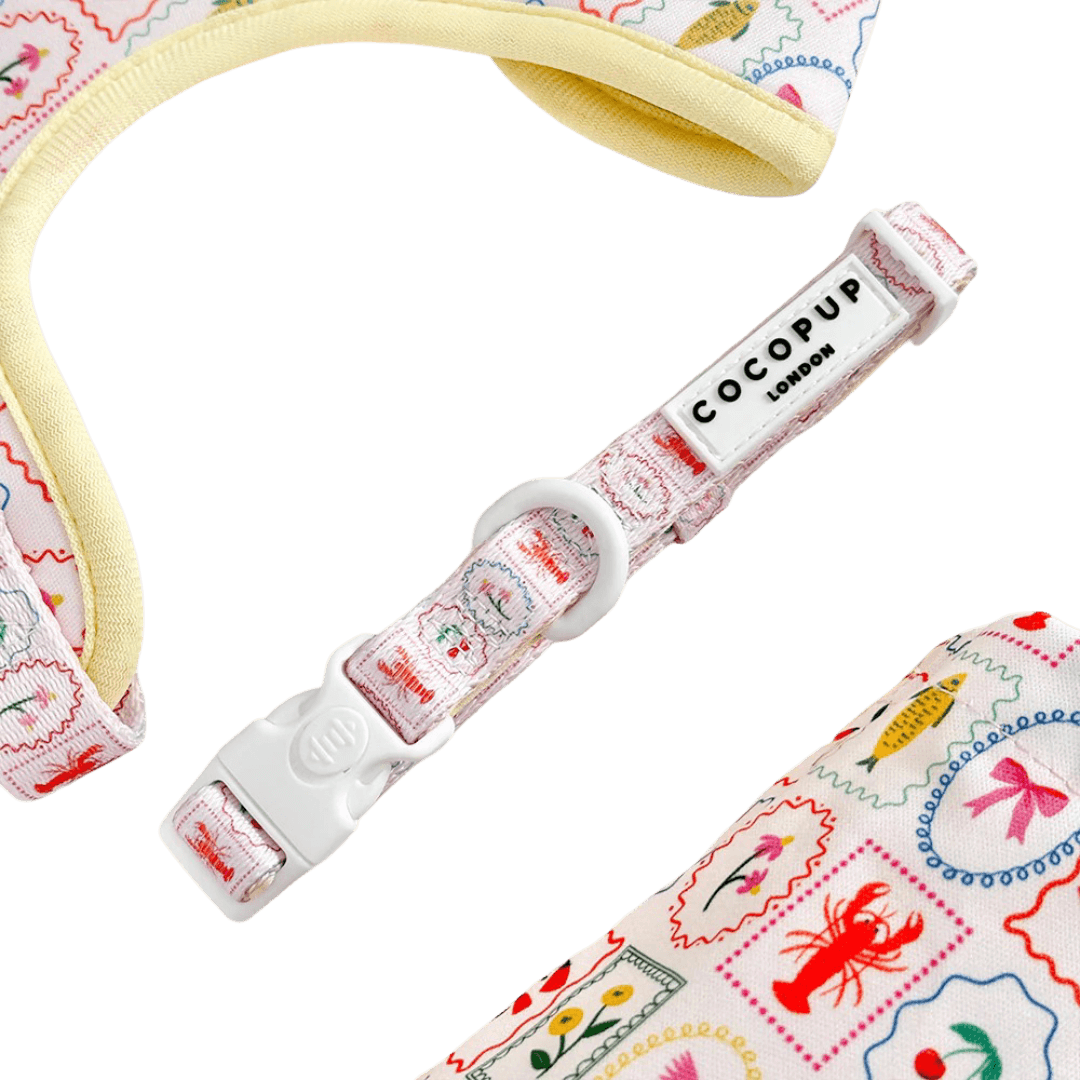 cocopup-london-dog-collar-dolce-vita