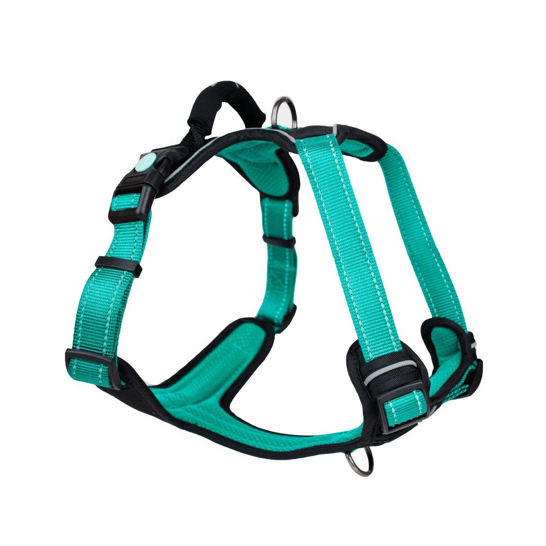 huskimo-dog-harness-ultimate-ningaloo