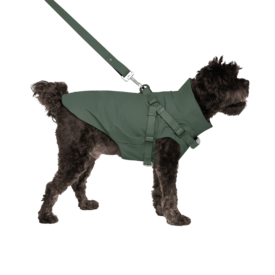 canada-pooch-dog-raincoat-with-harness-forest-green