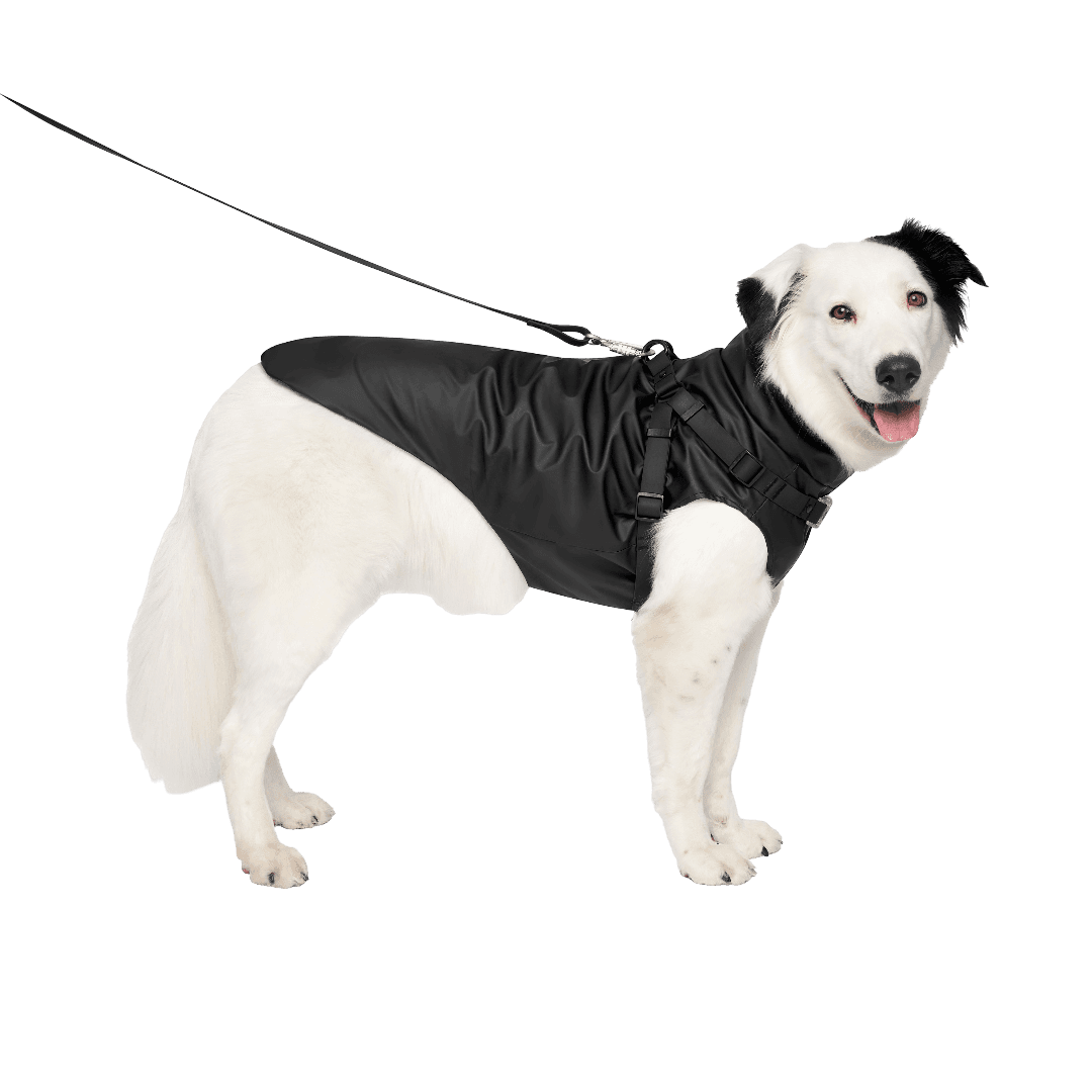 Dog Raincoat With Harness Black