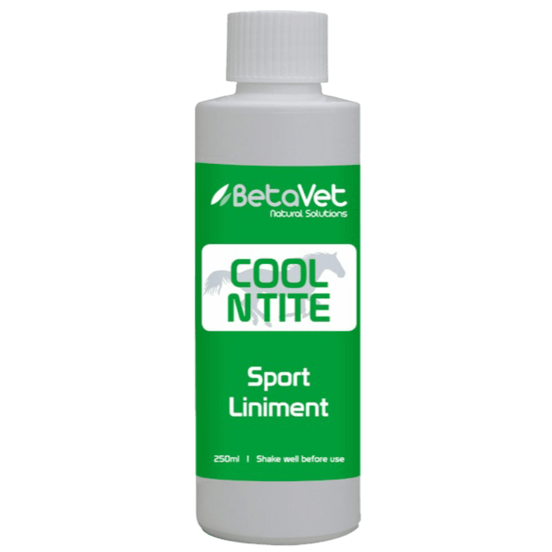 betavet-cool-n-tite-horse-supplement