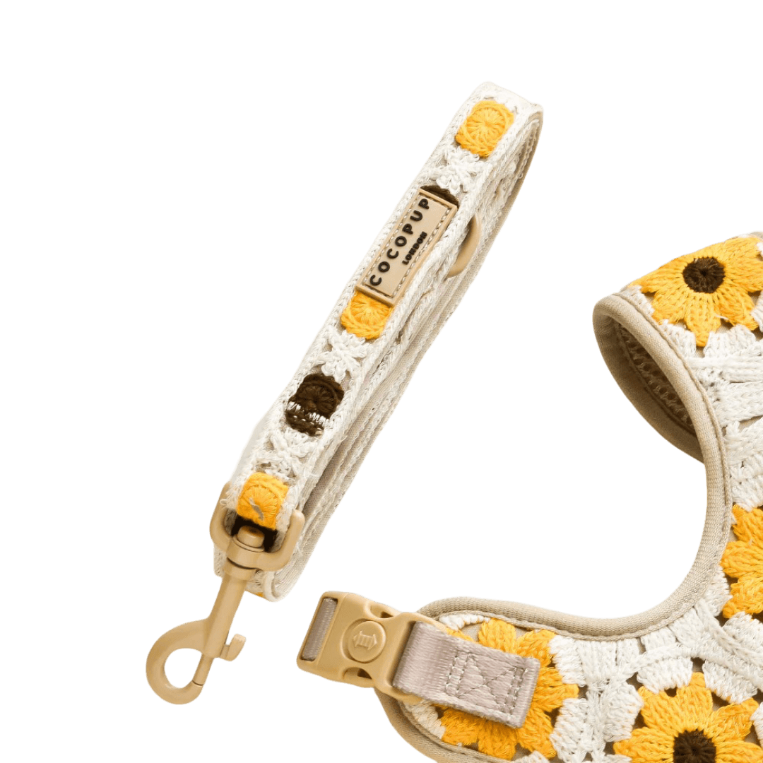 cocopup-london-dog-lead-sunflower-patch