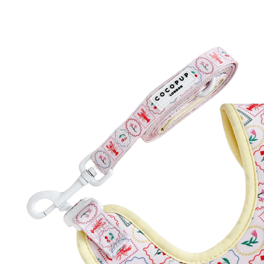 cocopup-london-dog-lead-dolce-vita