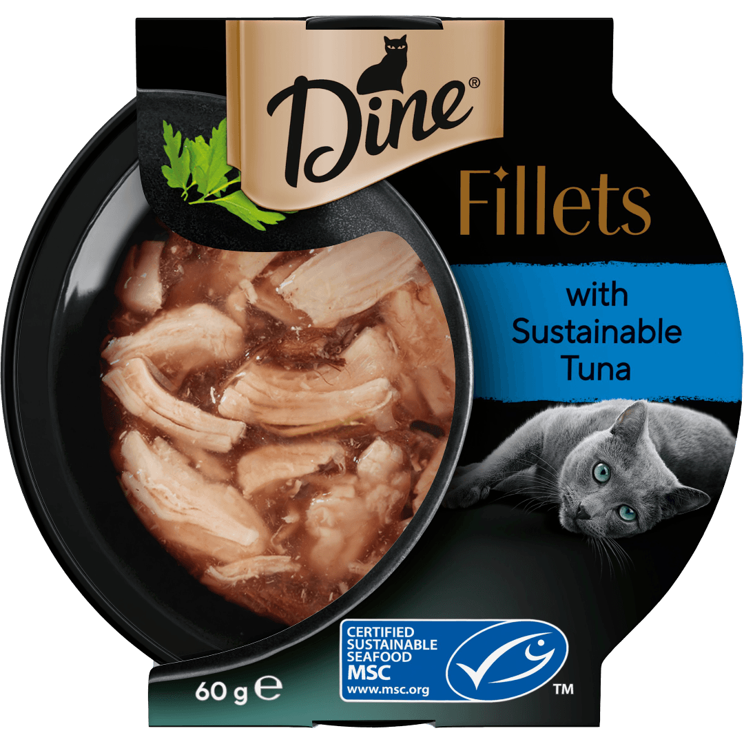 dine-fillets-sustainable-tuna-wet-cat-food-tray