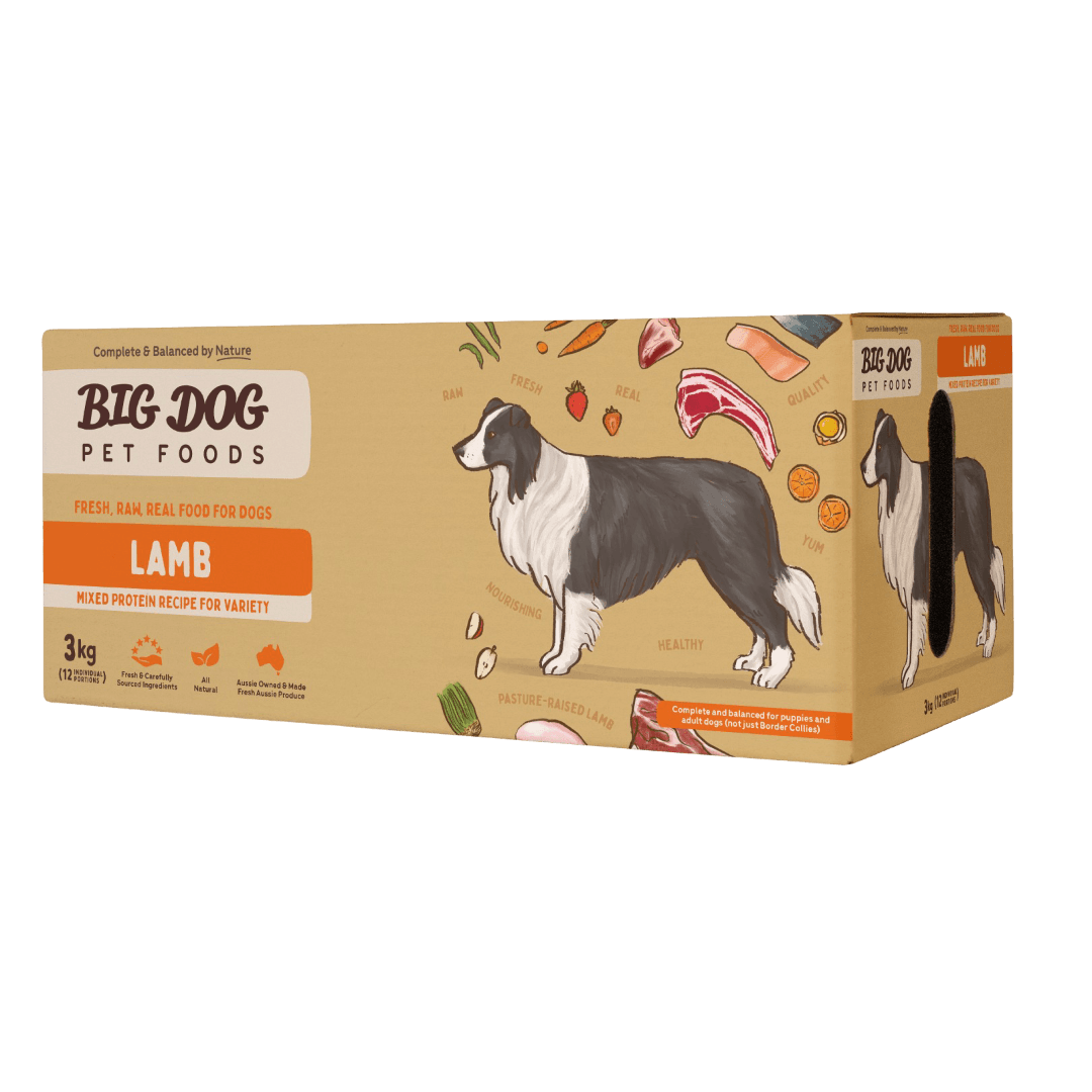 big-dog-australia-lamb-frozen-raw-dog-food