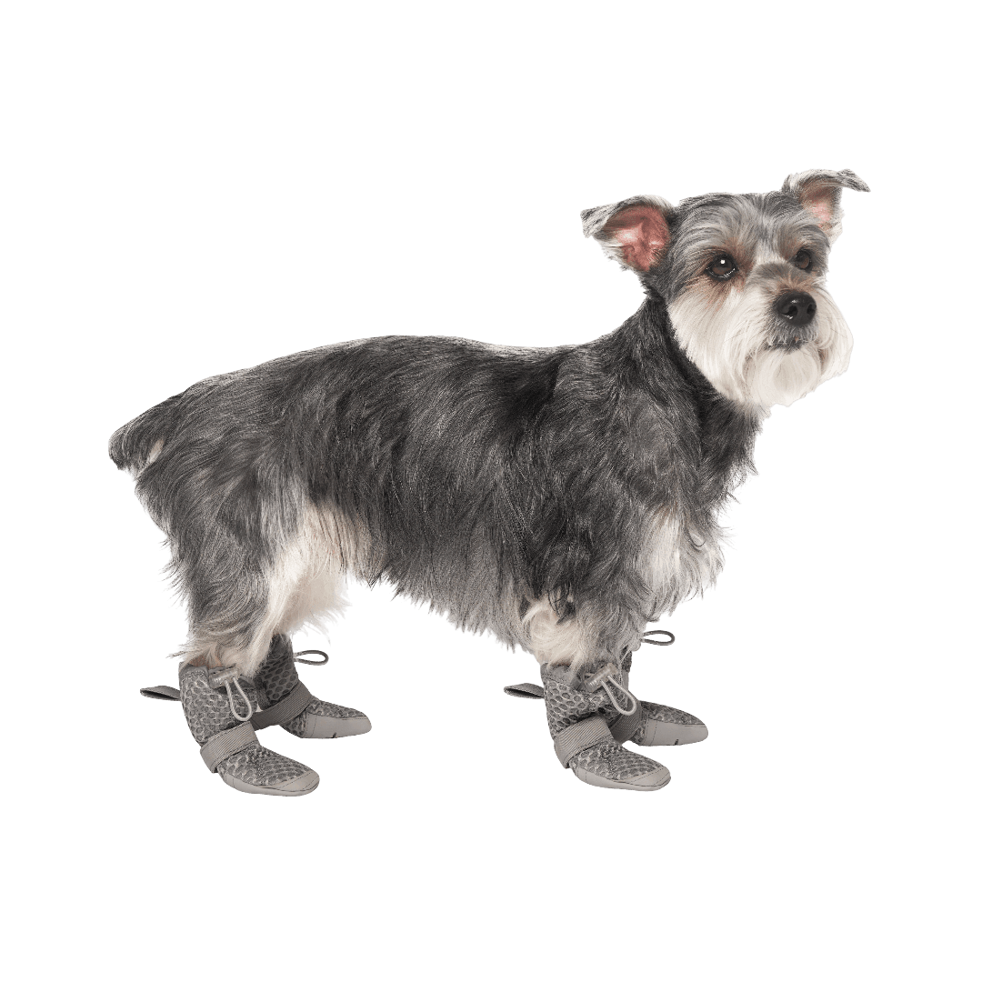 Hot Pavement Dog Boots Grey