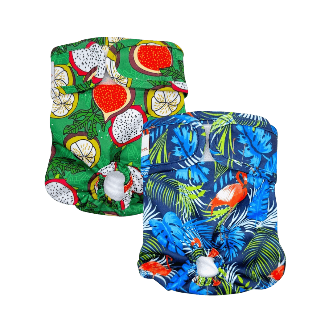 Washable Dog Nappies Blue Green 2 Pack