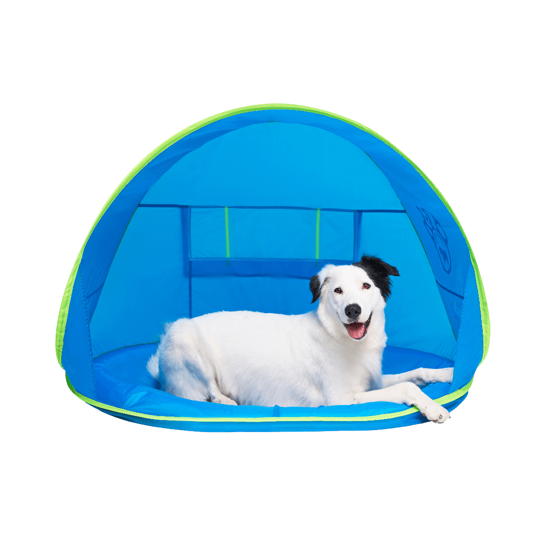 canada-pooch-chill-seaker-cooling-dog-station