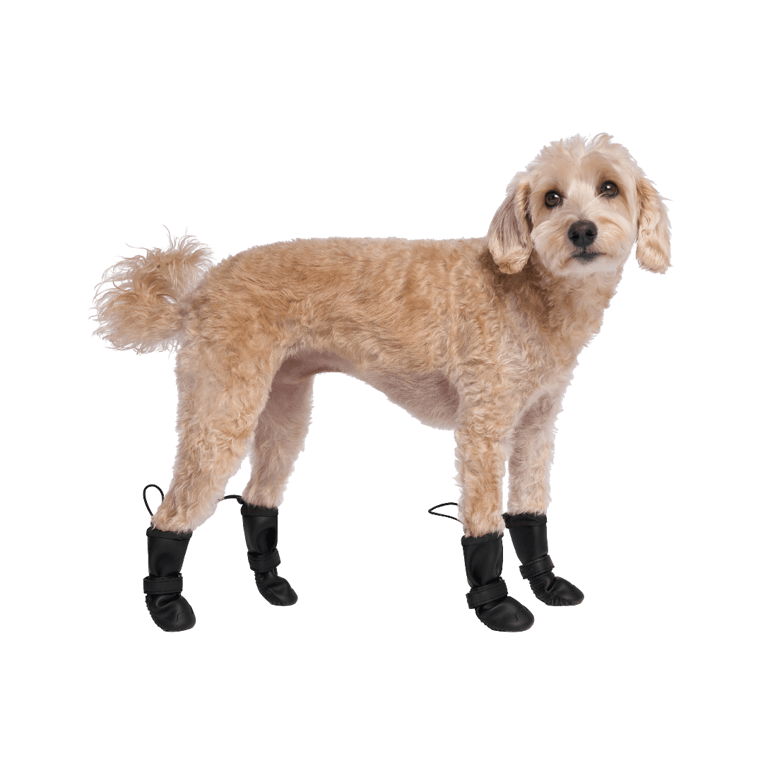 Canada Pooch Waterproof Dog Rainboots Black