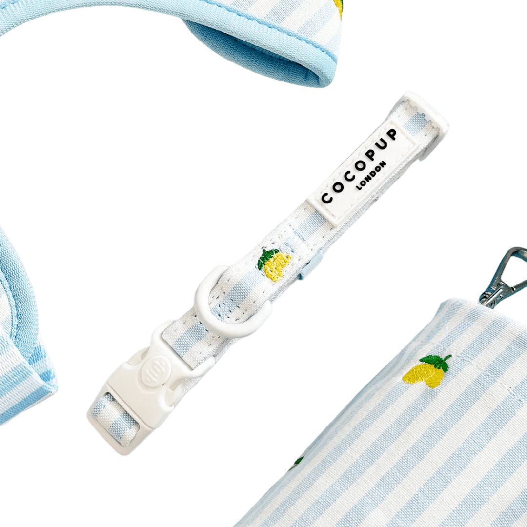 cocopup-london-dog-collar-livin-la-vida-lemon