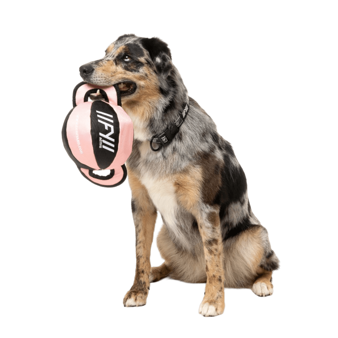 fuzzyard-active-ball-tug-dog-toy-peach