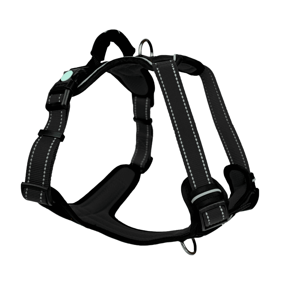 huskimo-dog-harness-ultimate-dark-sky