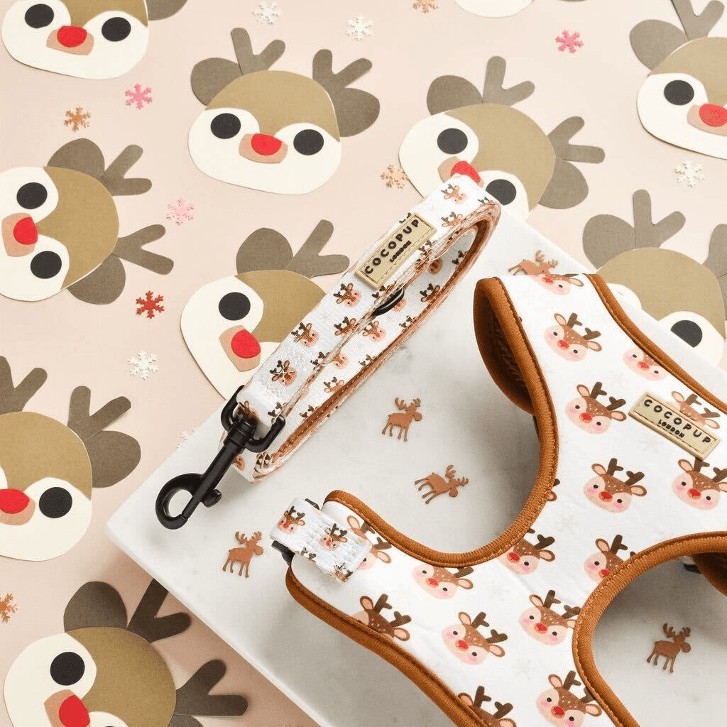 cocopup-london-dog-lead-ralphie-reindeer