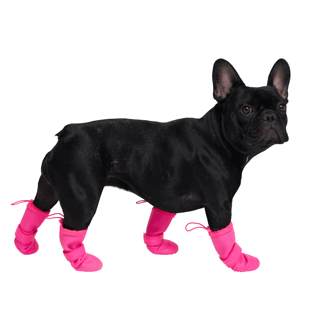 canada-pooch-waterproof-dog-rainboots-pink