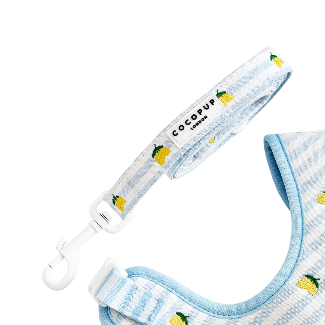 cocopup-london-dog-lead-livin-la-vida-lemon