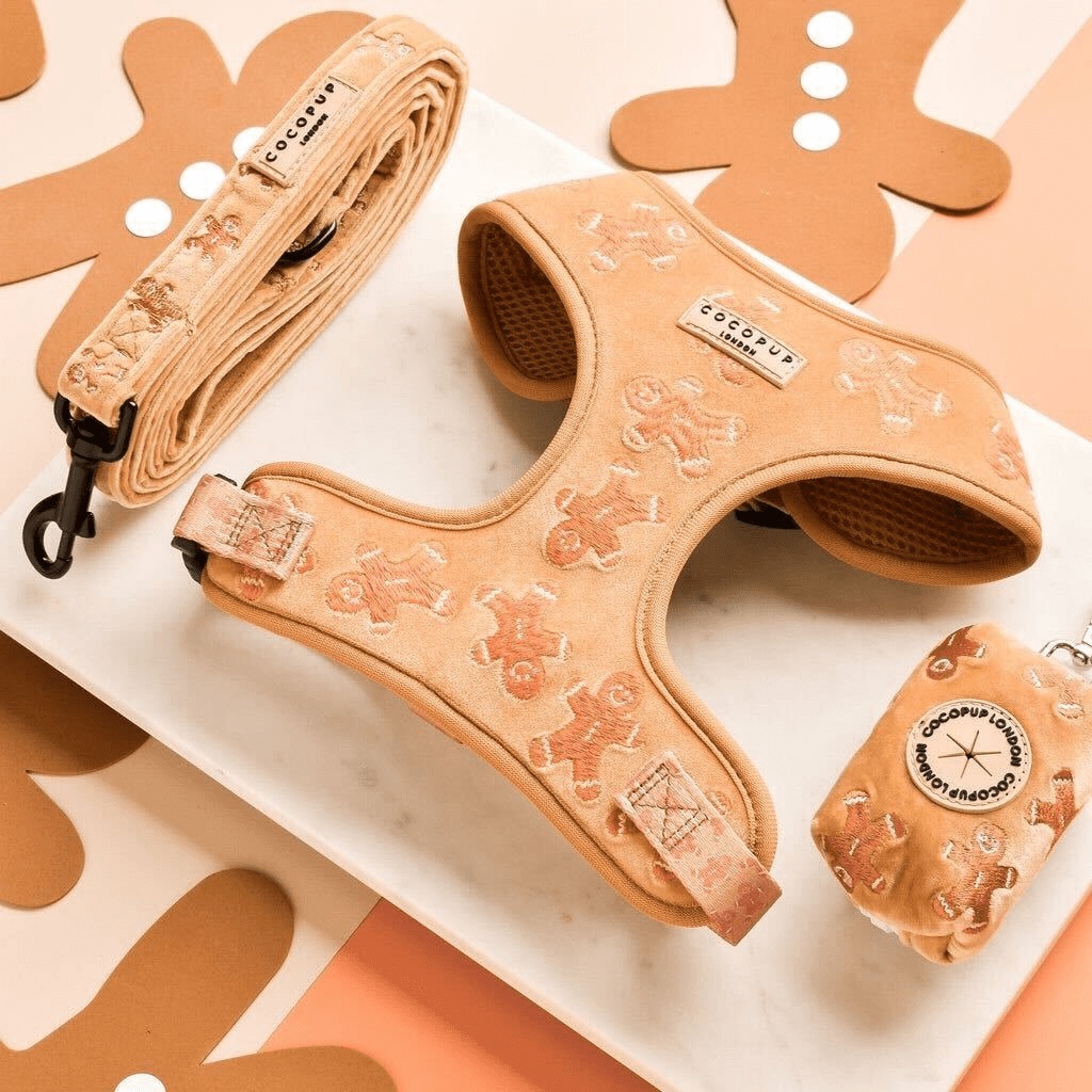 cocopup-london-dog-lead-gingerbread-treats