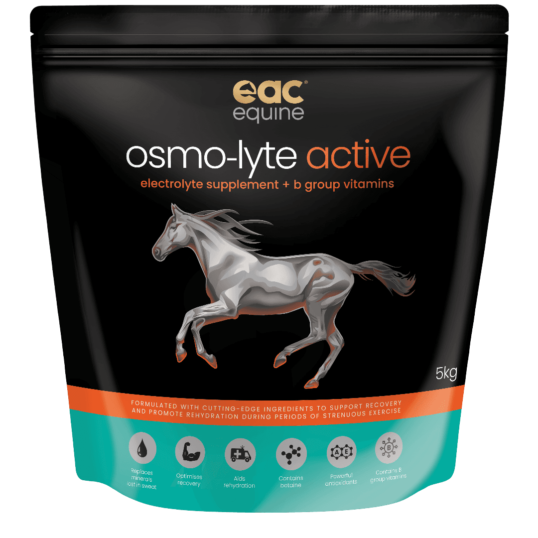 eac-osmo-lyte-electrolyte-and-b-vitamins-horse-supplement