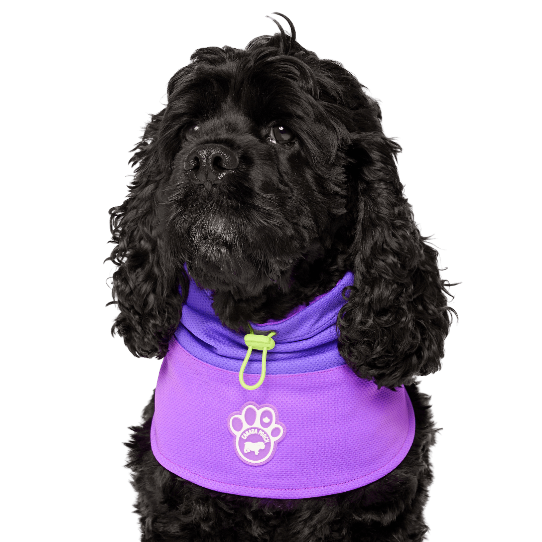 Max Chill Cooling Dog Snood Purple