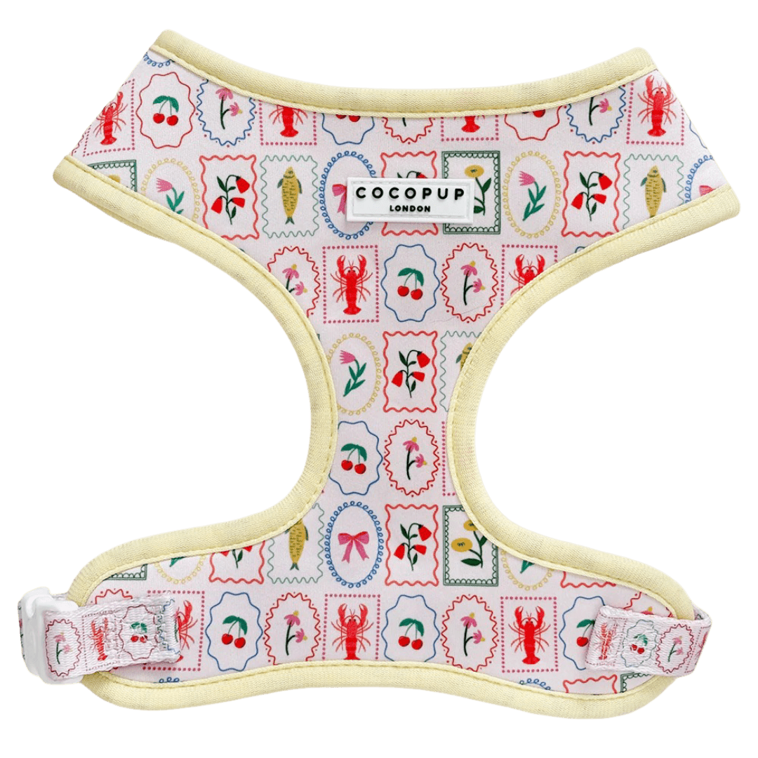 cocopup-london-adjustable-neck-dog-harness-dolce-vita