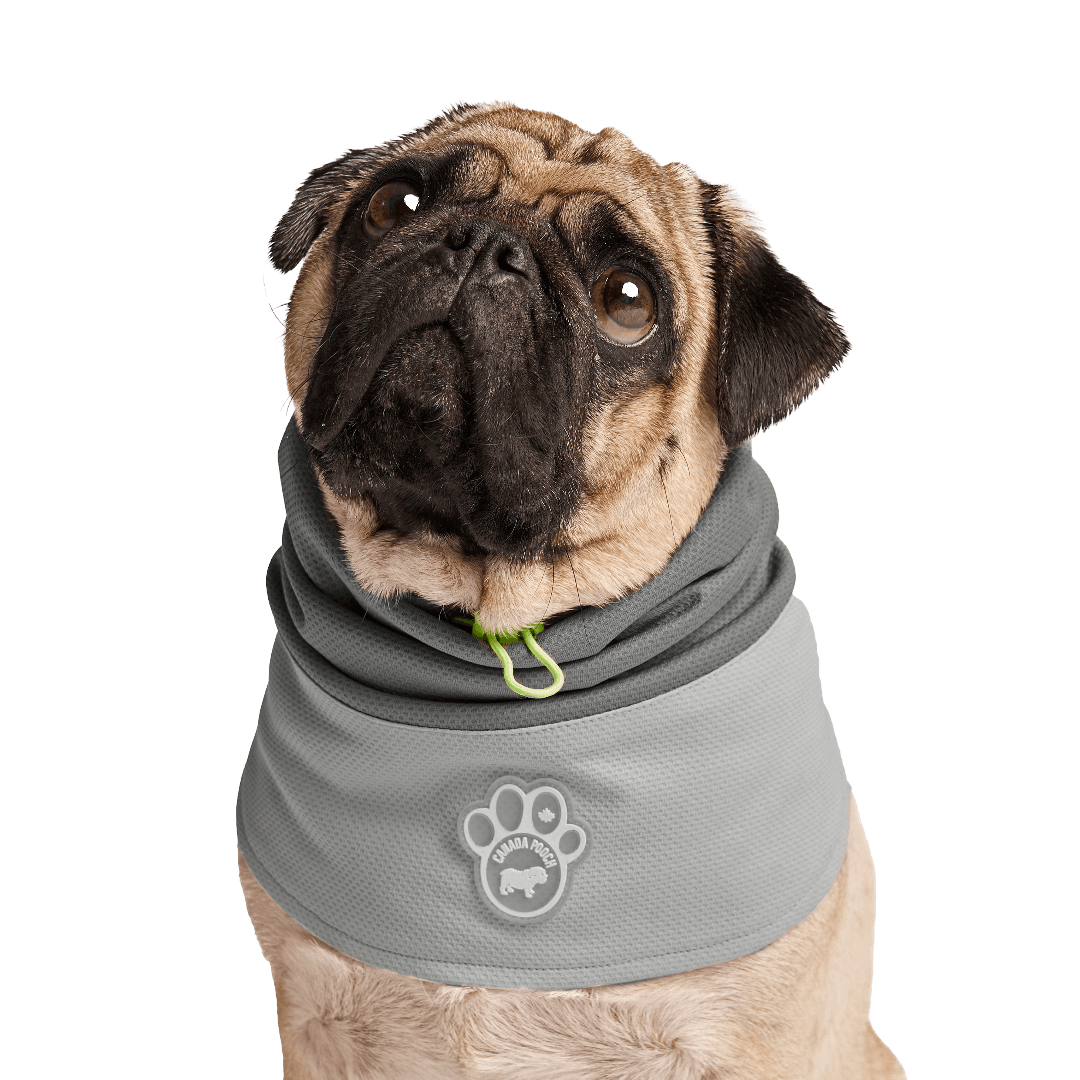 Max Chill Cooling Dog Snood Grey