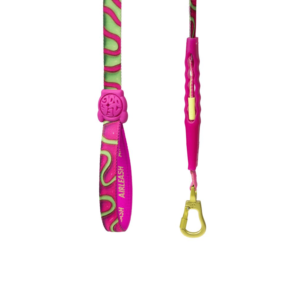 ZEE DOG H3D Jelly Air Dog Leash