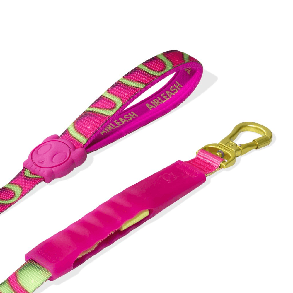 ZEE DOG H3D Jelly Air Dog Leash