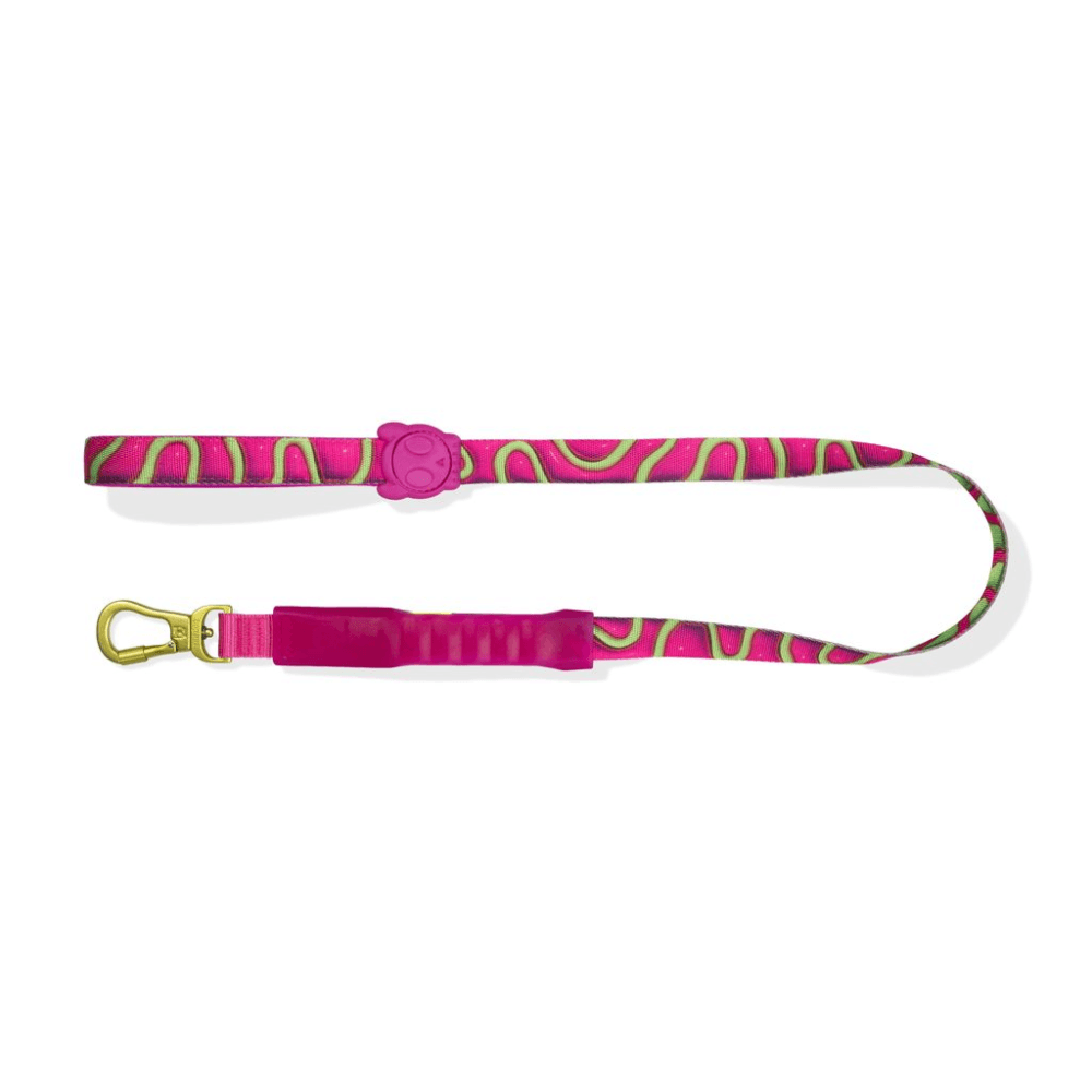 ZEE DOG H3D Jelly Air Dog Leash