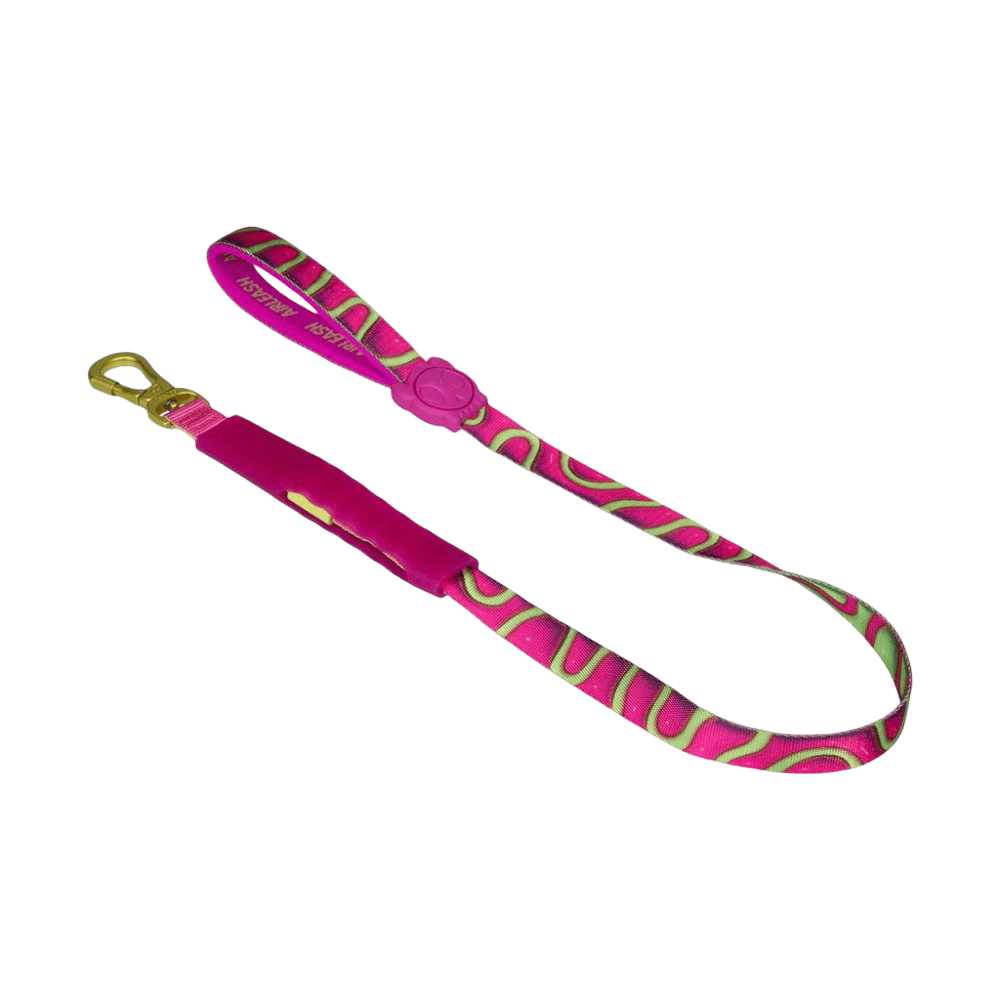Zee Dog H3D Jelly Air Dog Leash