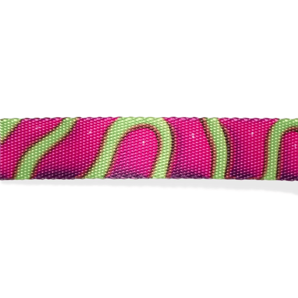 ZEE CAT Jelly Cat Collar