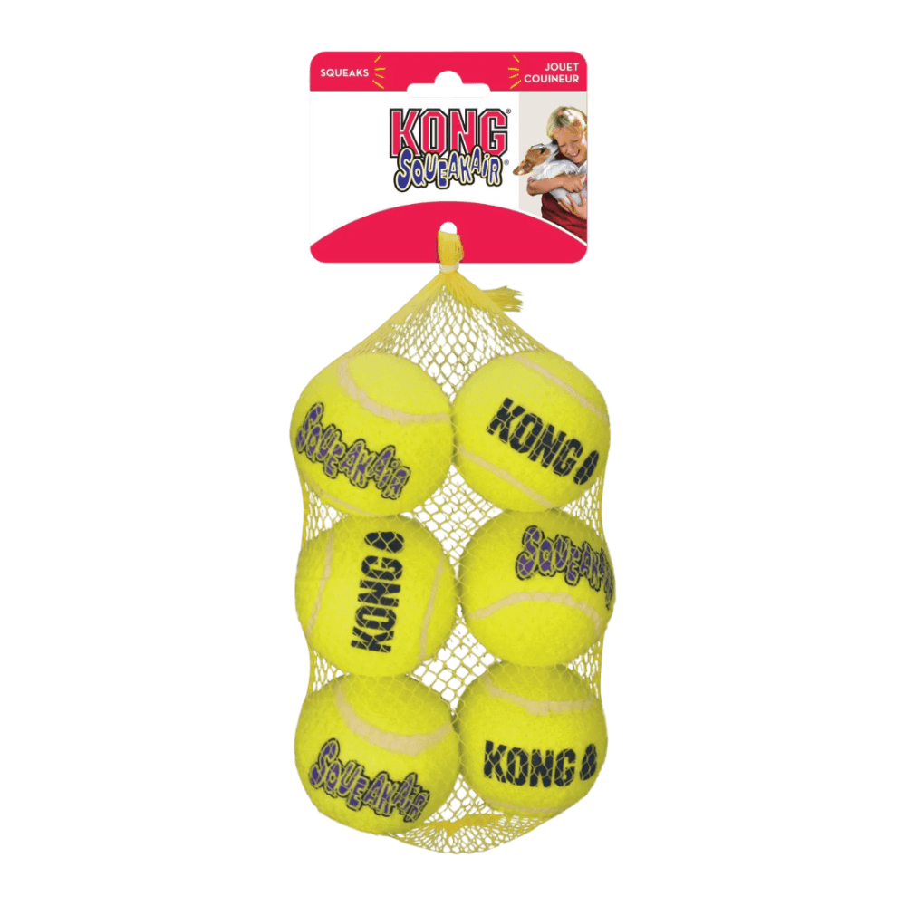 kong-airdog-squeaker-balls