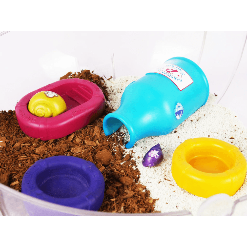 Hermit Crab Resin Food And Water Bowl