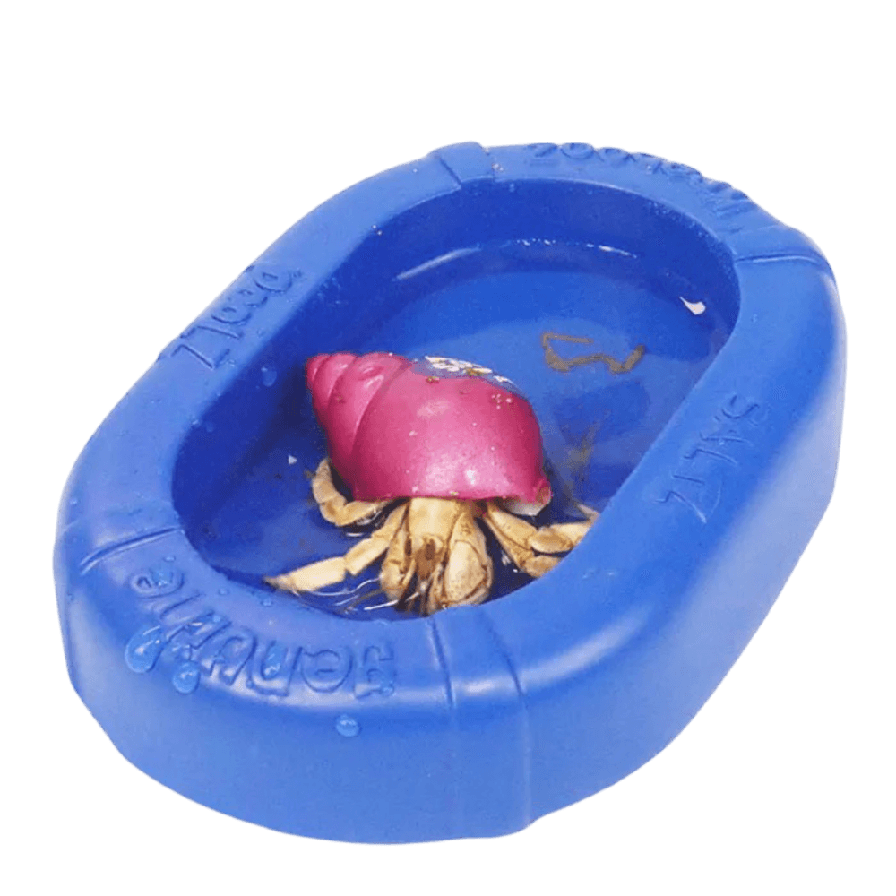 krabooz-salt-poolz-resin-pool-with-steps-for-hermit-crabs